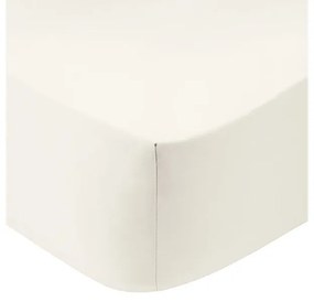 Κατωσέντονο Cotton Feelings με λάστιχο 100 White Διπλό (160x200+30)