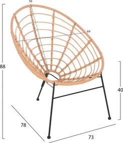 ΠΟΛΥΘΡΟΝΑ ΤΥΠΟΥ ΦΩΛΙΑ ΜΕΤΑΛΛΙΚΗ ALLEGRA HM5458.11 ΜΕ WICKER ΜΠΕΖ 73x78x88Υεκ.