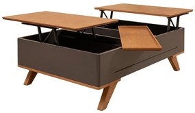 Τραπεζάκι Σαλονιού Aston 120x80x45