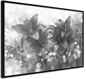 Αφίσα - Dark Lillies - 30x20 - Μαύρο - Χωρίς πασπαρτού