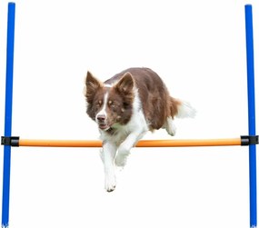 Παιχνίδι εκπαίδευσης Trixie