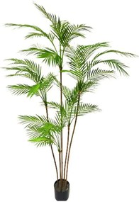 Τεχνητό Δέντρο Φοίνικας Chamaedorea 6790-6 170cm Green Supergreens Πλαστικό