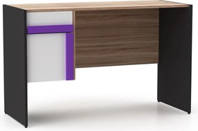 Γραφείο Alex 124x60x76εκ Γραφίτης-Λευκό-Σονόμα TO-ALEXDESK60