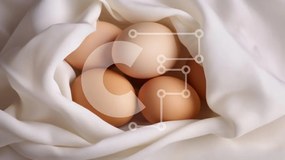 Σετ των 2 Intra Συλλεκτικό Ξύλινο Παζλ Plywood 4mm - Συλλογή από αυγά σε λευκό ύφασμα Σε Ξύλινο Κουτί - Διαστάσεις: 10x10 cm – 25 κομμάτια