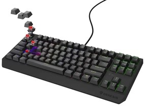 Genesis NKG-2077 Thor 230 TKL Gaming Μηχανικό Πληκτρολόγιο Tenkeyless με Outemu Red διακόπτες και RGB φωτισμό (Αγγλικό US)
