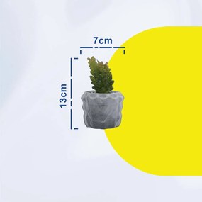 Τεχνητό Φυτό σε Μοντέρνο Κεραμικό Γλαστράκι 7x13cm