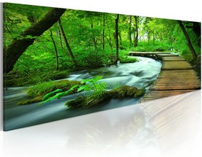 Πίνακας - Forest broadwalk 135x45