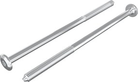 vidaXL Βίδες επίπλων 2 pcs Ασημί M6 x 120 mm Ατσάλι