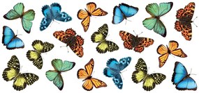 Διακοσμητικά αυτοκόλλητα τοίχου Colourful Butterflies Ango