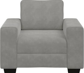 vidaXL Πολυθρόνα Ανοιχτό Γκρι Βελούδινη 100 x 77 x 82 εκ.