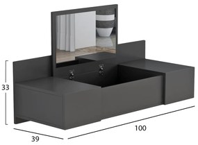 Τουαλέτα LINDE Κρεμαστή με Καθρέπτη Ανθρακί 100x39x33Y εκ. 100x39x33 εκ.