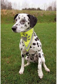 Μπαντάνα Trixie