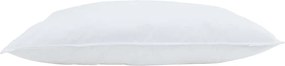 vidaXL Μαξιλάρι με μαξιλάρι 2 pcs Λευκό 60 x 70 cm Φτερό