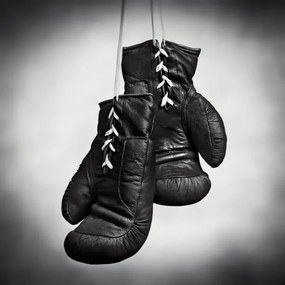 Φωτογραφία Laced boxing gloves, SEAN GLADWELL