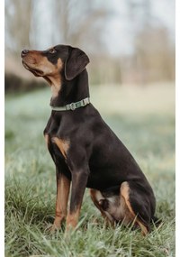 Κολλάρο Σκύλου Hunter Πράσινο 45-65 cm