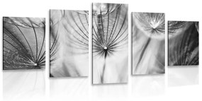 Εικόνα 5 μερών Πικραλίδα σε ασπρόμαυρο - 100x50