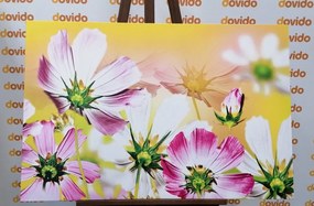 Εικόνα καλοκαιρινά λουλούδια - 120x80