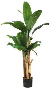 New plan BANANA TREE NP703_160 ΥΨΟΣ 160cm Τεμαχιο