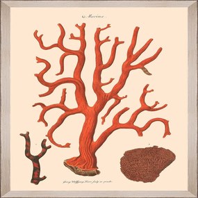 Κάδρο Deliciae Naturae Ix Fa13361 35X50Cm Beige-Orange Mindthegap Vertical Wood