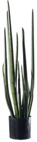 Supergreens Τεχνητό Φυτό Σανσεβιέρα "Zeylanica" Πράσινο 14x16x70 εκ