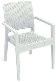 IBIZA WHITE ΠΟΛΥΘΡΟΝΑ ΠΟΛ/ΝΙΟΥ