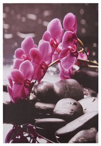 ΠΙΝΑΚΑΣ ΚΑΜΒΑΣ PINK ORCHID  60X90X2.5 εκ.