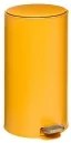 FIVE ΚΆΔΟΙ ΑΠΟΡΡΙΜΆΤΩΝ DUSTBIN METAL 30L OCHRE DELTA FIVE 164753E 33/34,5/65 NEOPORTAL-3560237593937