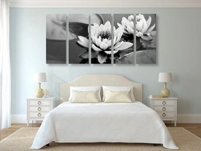 Εικόνα 5 τμημάτων λουλούδι λωτού στη λίμνη σε ασπρόμαυρο - 100x50