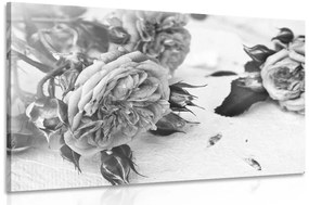 Εικόνα ενός ανθισμένου τριαντάφυλλου σε μαύρο & άσπρο