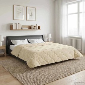 vidaXL Κουβέρτα ολόκληρου του χρόνου 200 x 200 cm Όχι