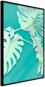 Αφίσα - Teal Monstera - 40x60 - Μαύρο - Χωρίς πασπαρτού