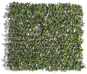 Supergreens Τεχνητή Φυλλωσιά Πτυσσόμενη Σεφλέρα Arboricola 100x200 εκ
