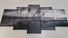 Εικόνα 5 μερών ενός ηλιοβασιλέματος στην παραλία σε ασπρόμαυρο