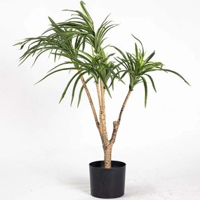 Τεχνητό Φυτό Δράκαινα 6880-6 40x80cm Green Supergreens Polyethylene