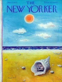 Εικονογράφηση The NY Magazine Cover 299