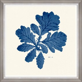 Κάδρο Seaweed  Iii Fa13394 70X70Cm White-Blue Mindthegap Τετράγωνοι Wood