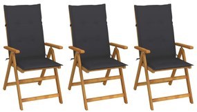 Καρέκλες Κήπου Πτυσσόμενες 3 τεμ. από Ξύλο Ακακίας με Μαξιλάρια - Ανθρακί