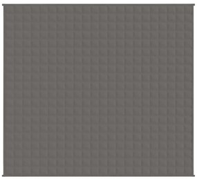 vidaXL Κουβέρτα Βαρύτητας Γκρι 200 x 230 εκ. 13 κ. Υφασμάτινη