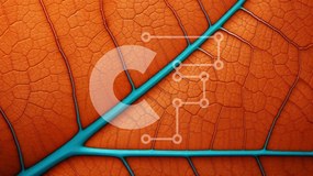 Intra Συλλεκτικό Ξύλινο Παζλ Plywood 4mm - Κοντινή όψη ενός φύλλου πορτοκαλιού με φλέβες και υφή Σε Ξύλινο Κουτί - Διαστάσεις: 10x10 cm – 25 κομμάτια