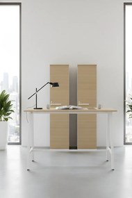 Ντουλάπα SlimSpace-Leuko-Sonoma