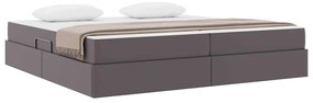 vidaXL Κρεβάτι με αποθηκευτικό χώρο και στρώμα 2 pcs Γκρι Δέρμα