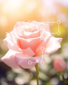 Σετ των 2 Intra Συλλεκτικό Ξύλινο Παζλ Plywood  4mm - Ροζ τριαντάφυλλο στο φως του ήλιου Σε Ξύλινο Κουτί - Διαστάσεις: 10x10 cm – 25 κομμάτια