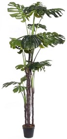 Τεχνητό Δέντρο Μονστέρα Giant 2411-6 210cm Green Supergreens Polyethylene