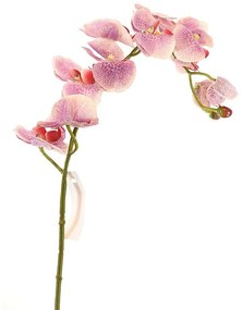 Τεχνητό Κλωνάρι Ορχιδέα 5380-7 75cm White-Purple Supergreens Polyethylene