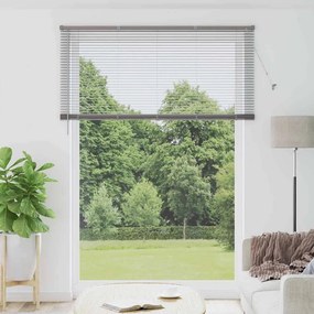 vidaXL Βενετσιάνικες Ρόδες Ασημί 220 x 160 εκ Αλουμίνιο
