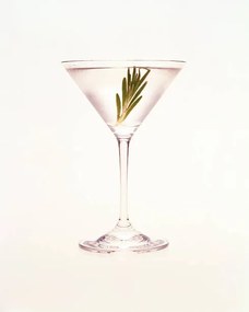 Φωτογραφία Martini with sprig of rosemary, Jonathan Kantor Studio