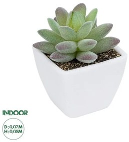 Διακοσμητικό Φυτό Φοίνικα Σερενόα Artificial Garden 20975 Globostar 20975