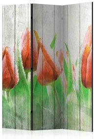 Διαχωριστικό με 3 τμήματα - Red tulips on wood [Room Dividers]