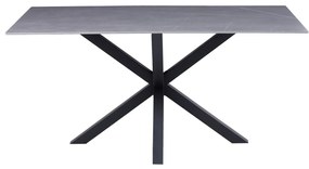 ΤΡΑΠΕΖΙ ΣΑΛΟΝΙΟΥ HM9470.05 GREY MARBLE-ΜΑΥΡΗ ΜΕΤΑΛ.ΒΑΣΗ 120x60x45,5Yεκ.