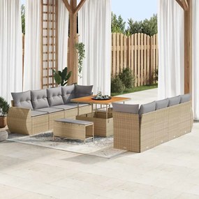 vidaXL Σετ Καναπέ Κήπου με αποθήκευση 11 pcs Μπεζ Πολυ ράταν